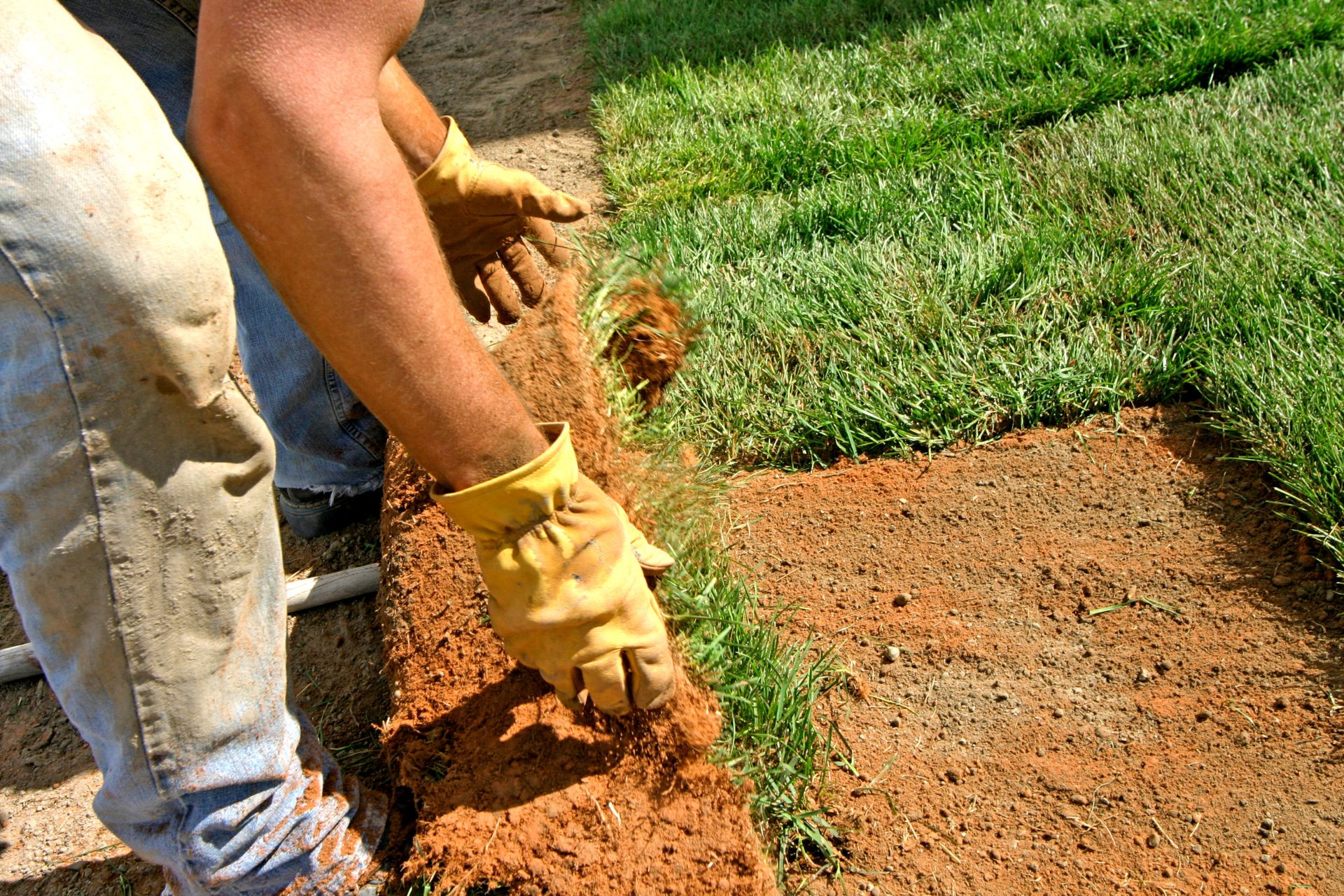 Sugar Bears Lawn Care Landscaping Design and Installation 1